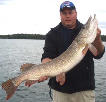 Trophy 42.5